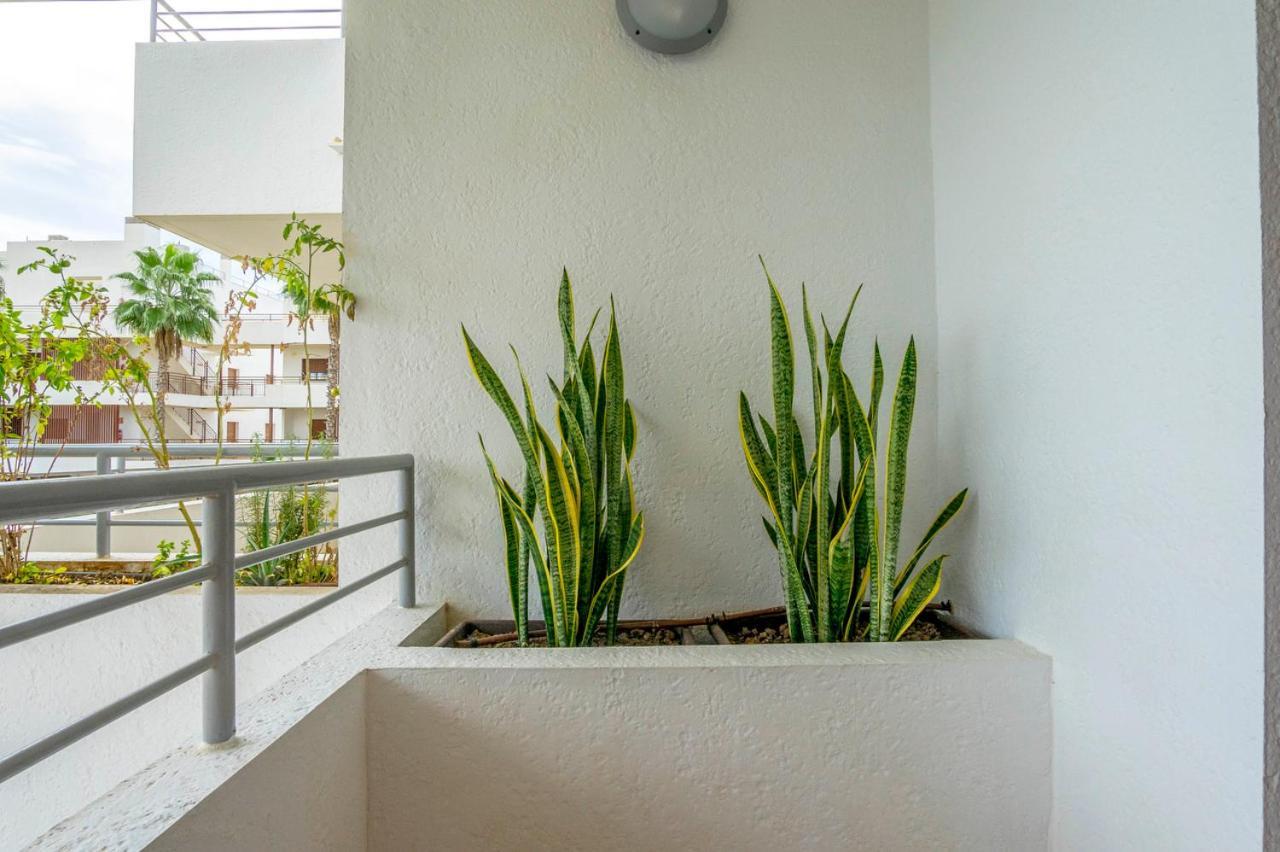 Cb Living - Modern Apartment, Terrazas De Campoamor Dehesa de Campoamor  Exteriör bild